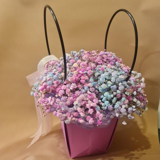 Arco iris de gypsophila