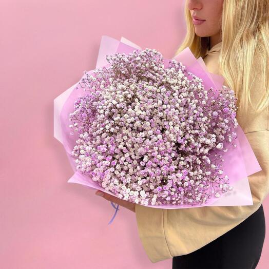 Ramo de gypsophila rosa