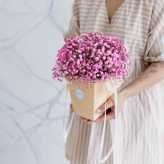 Gypsophila in her purse