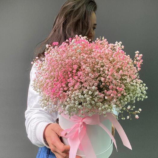 Гипсофилы 7 шт в шляпной коробке