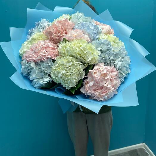 Hortensia