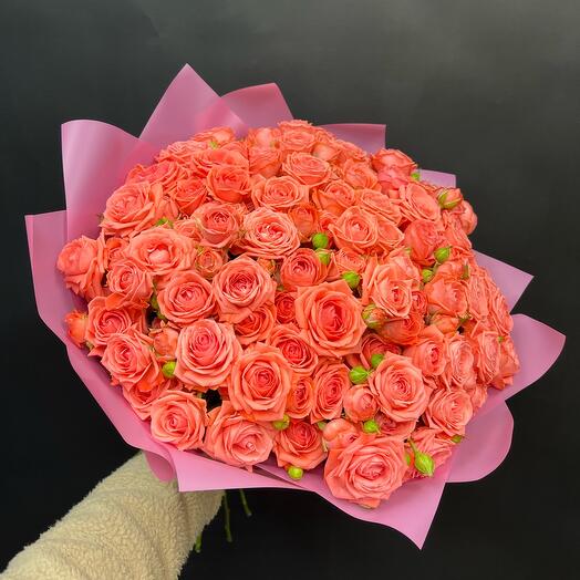 Bush rose Barbados