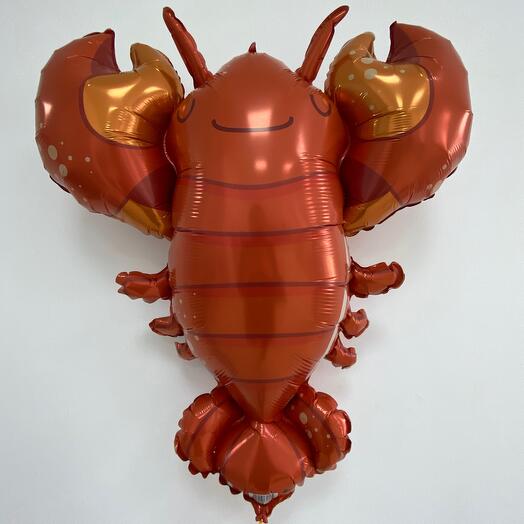 Шар рак 🦞