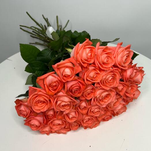 51 Роза Orange Love
