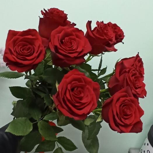 9 red roses