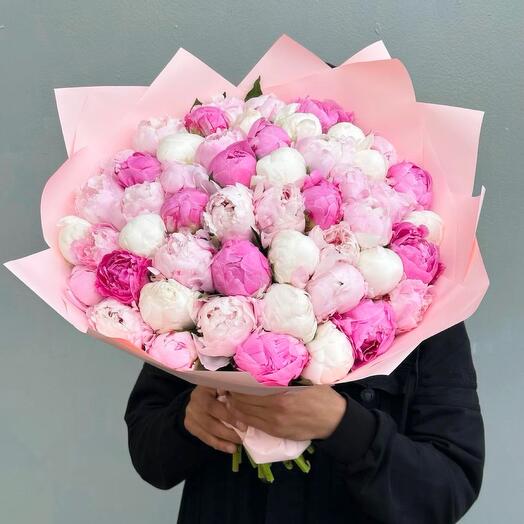 Peonies 51pcs Sarah Bernhardt, Fleming, Malam Clothe