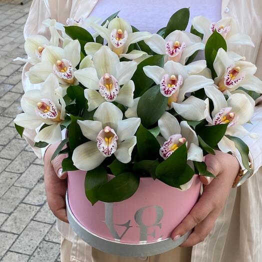 Orchid in a box