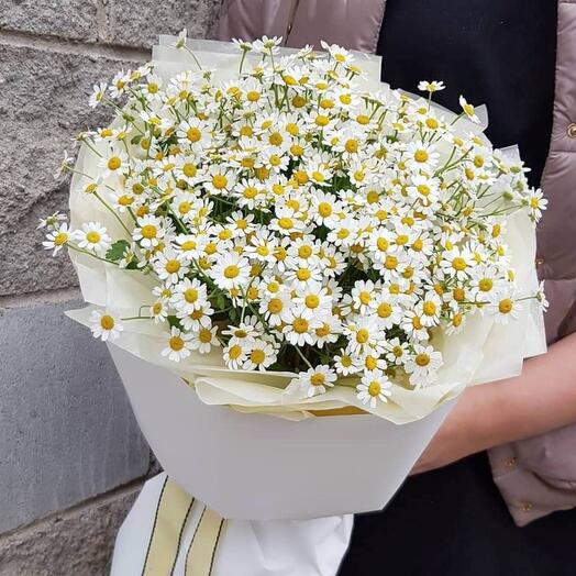 Bouquet of matricaria