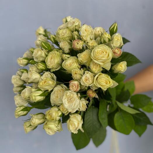 Bouquet of white bush roses