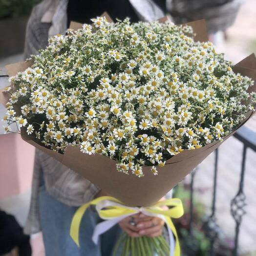 Шикарный букет ромашек