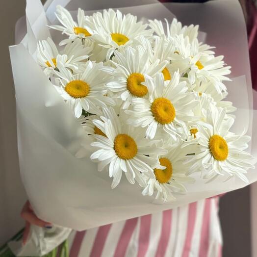Bouquet of daisies