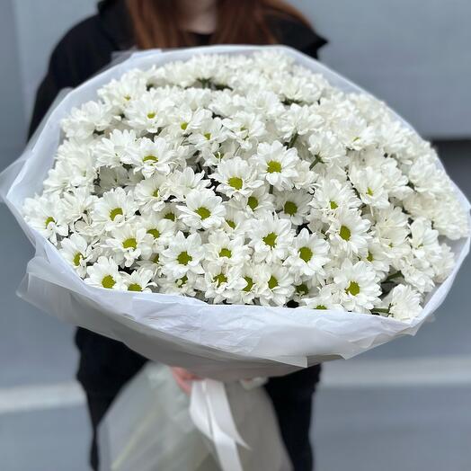 Букет Ромашки