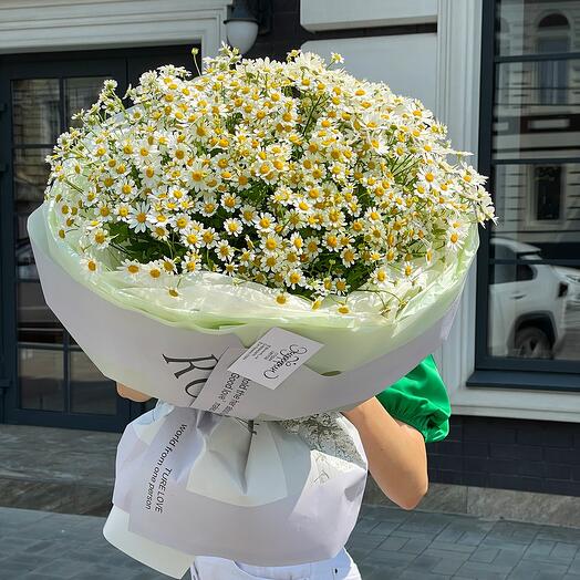 Ромашки