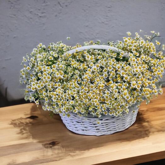 Корзина с ромашками