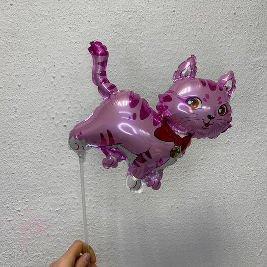 Котик