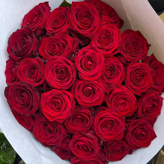 Roses red 29 stems