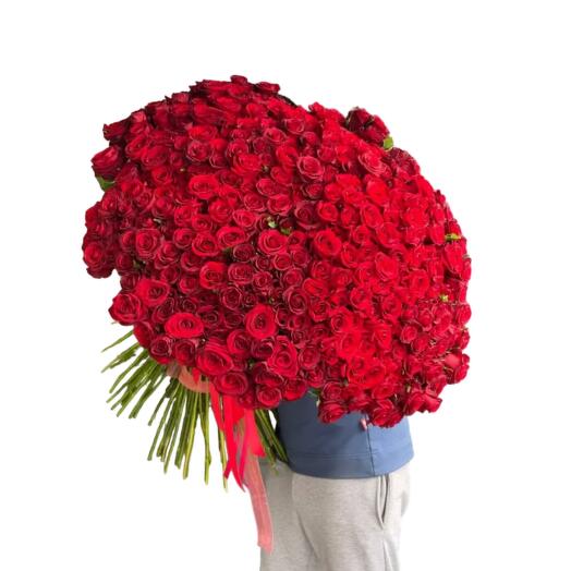 301 Red Rose Bouquet