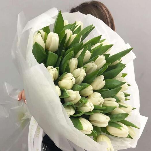 101 тюльпан белый