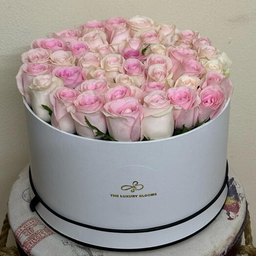 Pink Rose in Large Hatbox