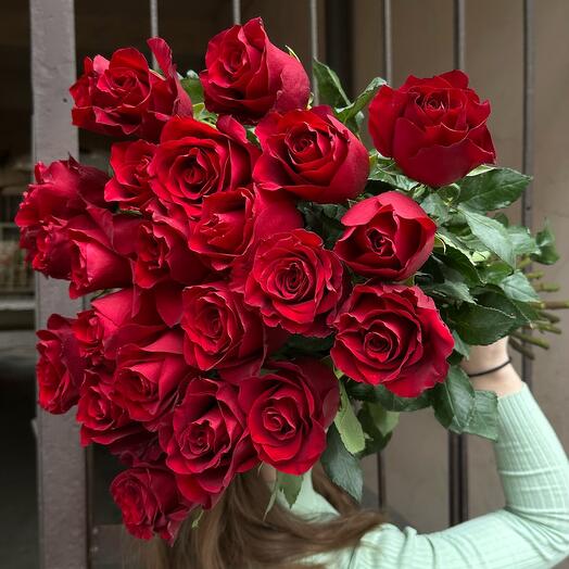 Акция Роза Голландия 25 шт