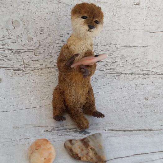 Выдра Рокки