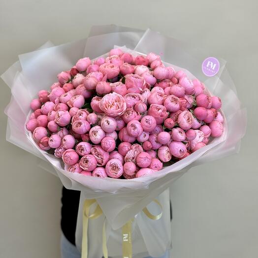 Silva pink размер-L