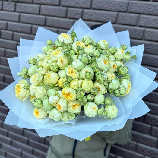 31 желтая кустовая пионовидная роза