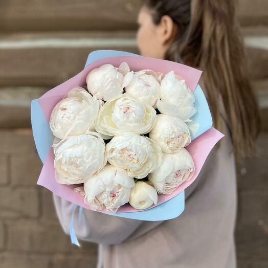 11 белых пионов (0006) peony