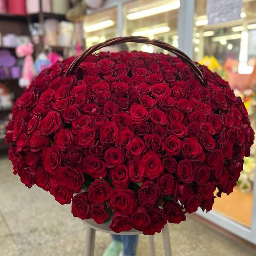 251 роза Эквадор в корзине