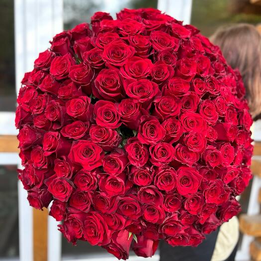 Красные розы 151 шт Люкс 🌹