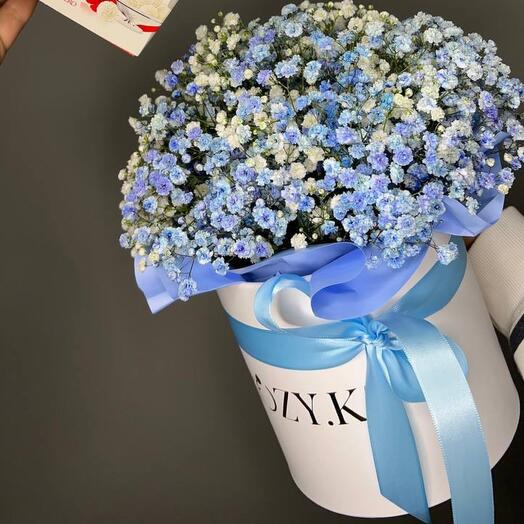 КОМБО ГИПСОФИЛА И РАФАЭЛЛО