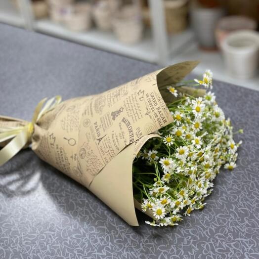 Tanacetum in crafting
