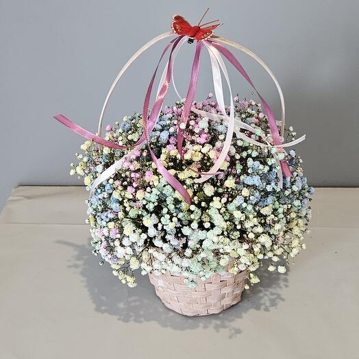 Gypsophila in the basket