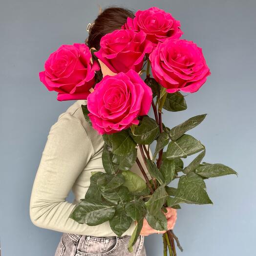 Яркие  ароматные розы