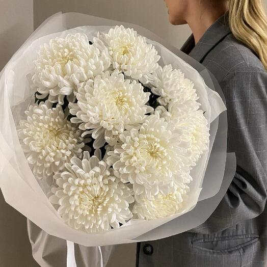 Букет из белой одноглавый хризантемы Букет из белой одноглавой хризантемы