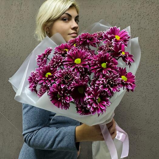 Букет из малиновых махровых хризантем