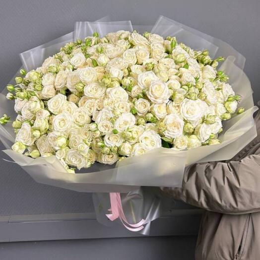 Bushy peony-shaped rose