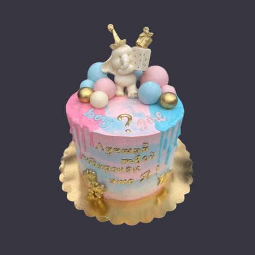 Гендерный бенто тортик мальчик и девочка