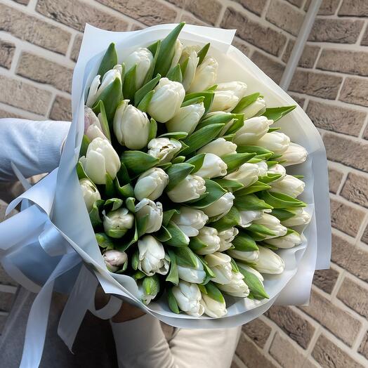 Белые тюльпаны🌷