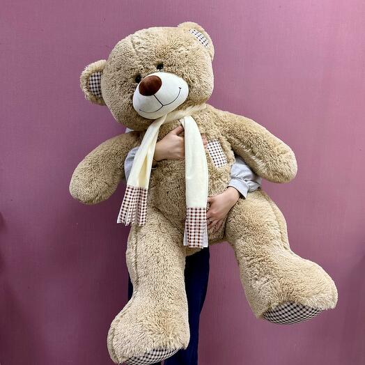 Big brown bear 150 cm with a scarf
