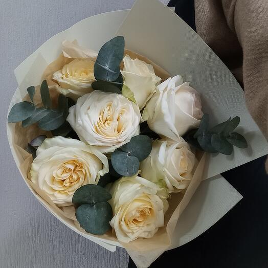 Rosa 60cm
