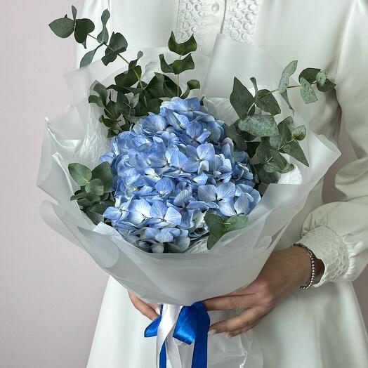 Hortensia
