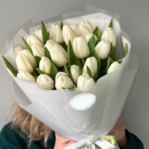 25 белых тюльпанов
