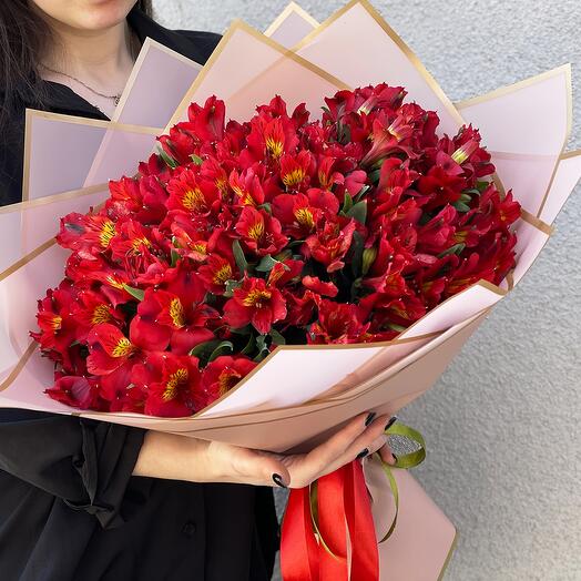 Alstroemeria | Alstroemeria 30