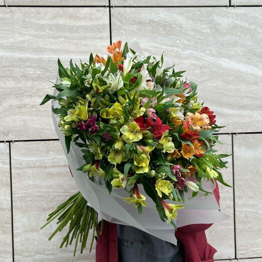 51 альстромерия в матовой упаковке