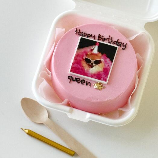 Pink bento cake happy birthday queen pomeranian