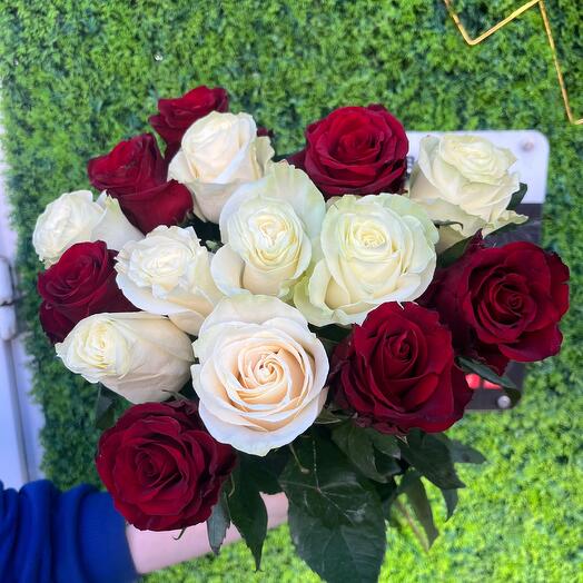 15 rosas bajo la cinta