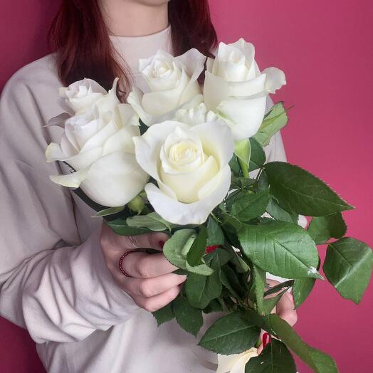 Rosas blancas