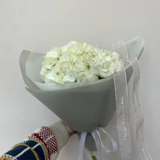 Белая гортензия