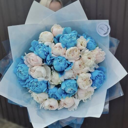 27 пион 💙🤍